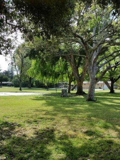 University Park - Fresno, CA