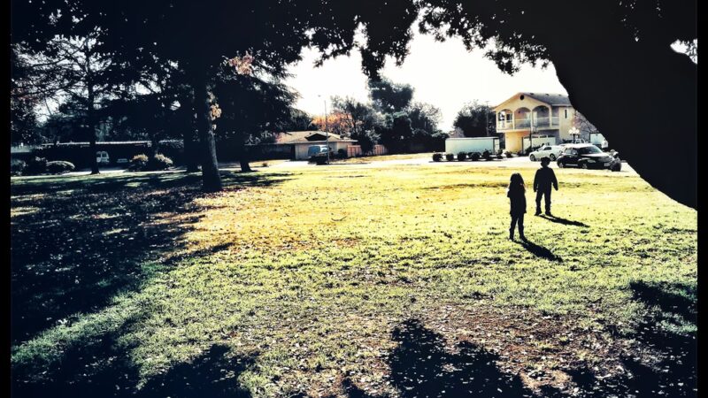 University Park - Fresno, CA