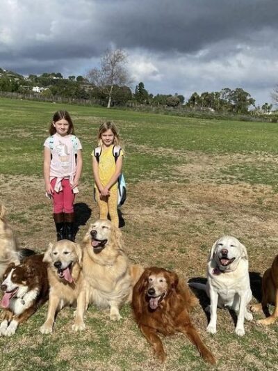 Friends of Maggie - ,