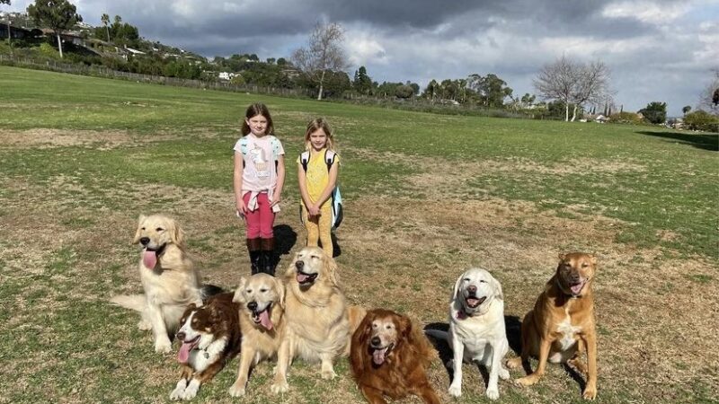 Friends of Maggie - ,