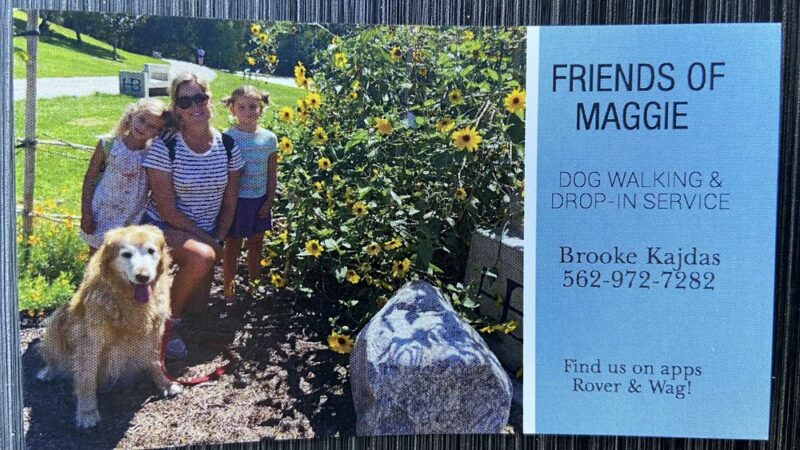 Friends of Maggie - ,