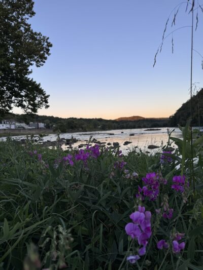 Fries Park - Fries, VA