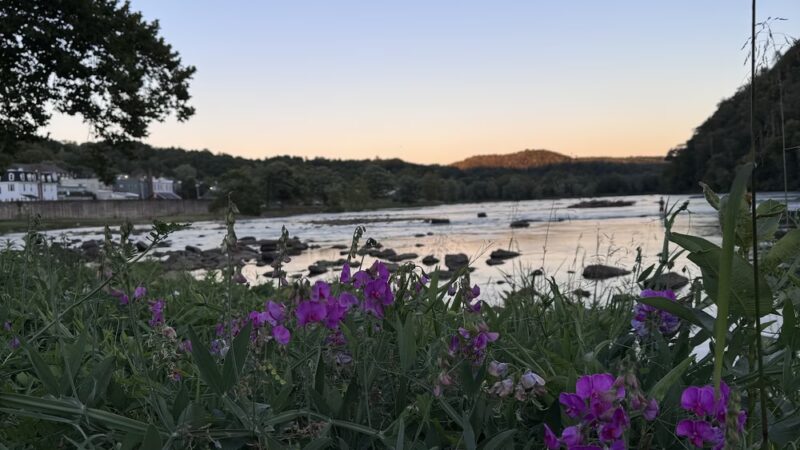 Fries Park - Fries, VA