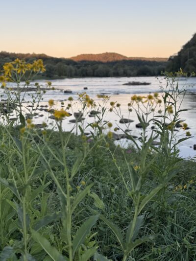 Fries Park - Fries, VA