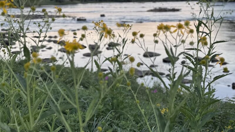 Fries Park - Fries, VA