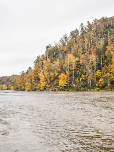 Fries River Park - Fries, VA