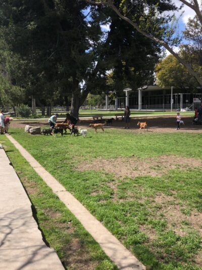 Fullerton Pooch Park - Fullerton, CA
