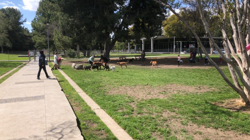 Fullerton Pooch Park - Fullerton, CA