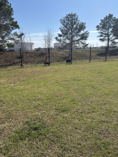Cross Creek Ranch Canine Commons - Fulshear, TX