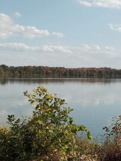 Bullhead Point Pavilion - Fulton, NY