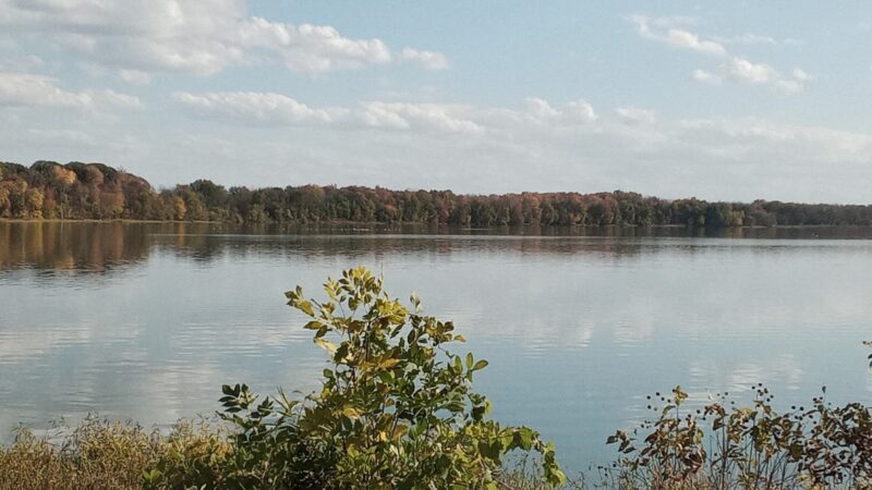 Bullhead Point Pavilion - Fulton, NY