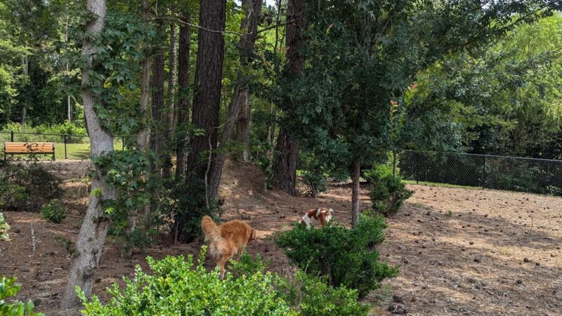 Bethpage dog park - Fuquay-Varina, NC