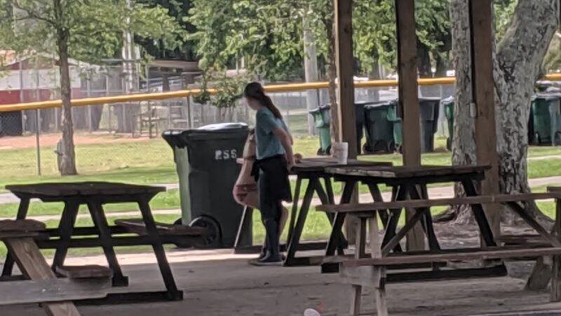 Fyffe Town Park - Fyffe, AL