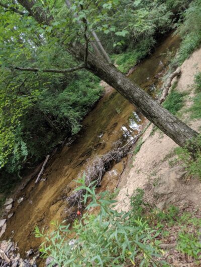 Powell Park - Fyffe, AL