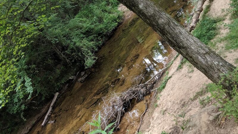 Powell Park - Fyffe, AL