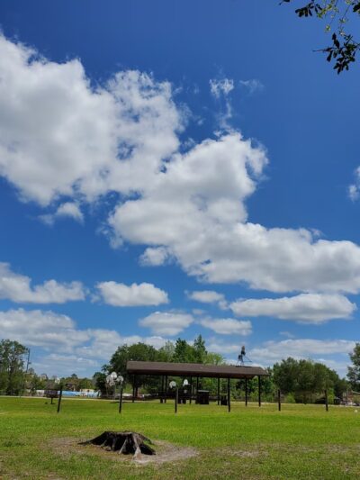 Forest Park - Gainesville, FL