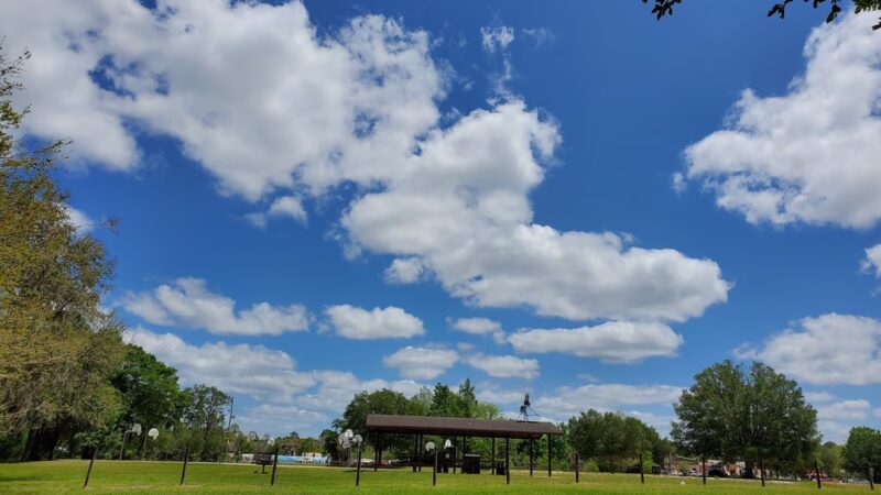 Forest Park - Gainesville, FL