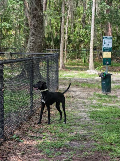 Forest Park - Gainesville, FL