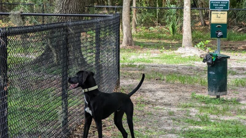 Forest Park - Gainesville, FL