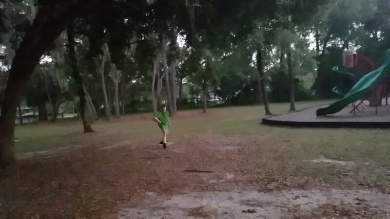 Greentree Park - Gainesville, FL