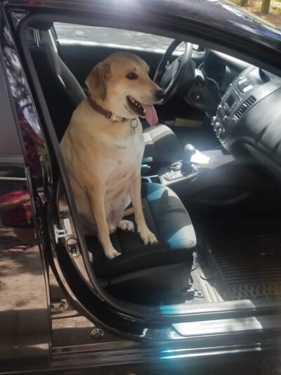 Greentree Park - Gainesville, FL