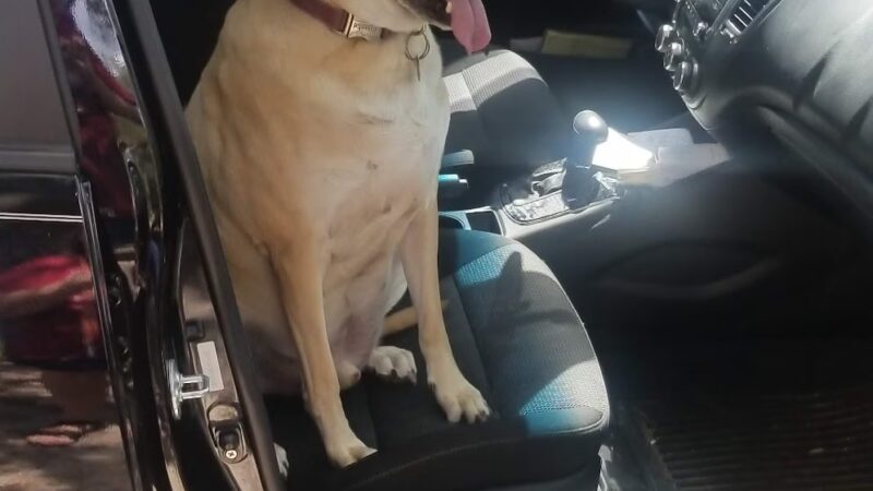 Greentree Park - Gainesville, FL