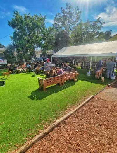 Lebowski's Pup Pub - Gainesville, FL