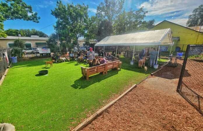 Lebowski's Pup Pub - Gainesville, FL