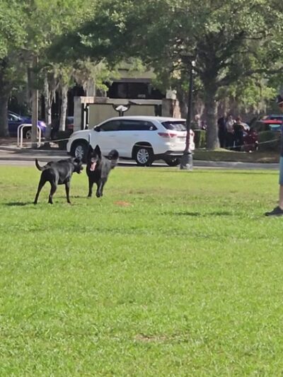 Magnolia Parke - Gainesville, FL