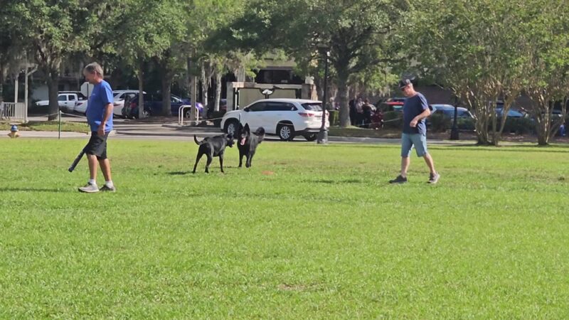 Magnolia Parke - Gainesville, FL