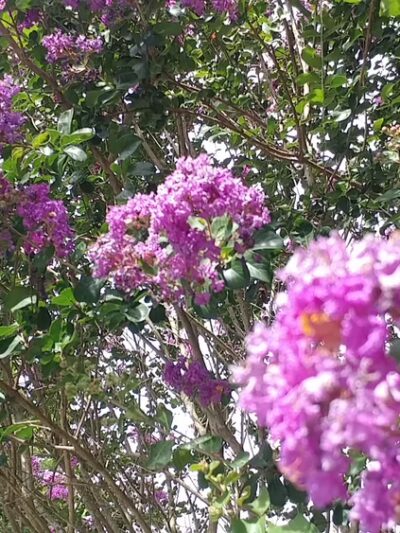 Magnolia Parke - Gainesville, FL