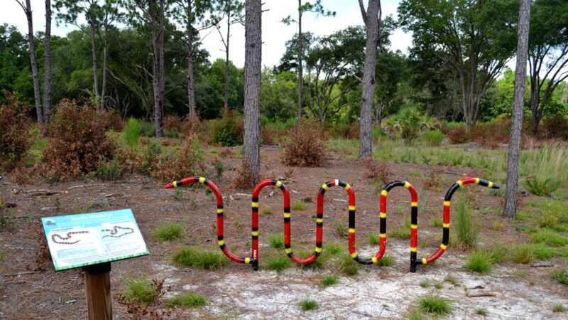 Sweetwater Preserve - Gainesville, FL