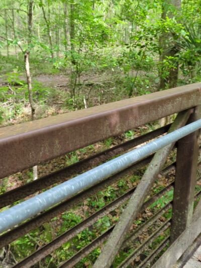 Sweetwater Preserve - Gainesville, FL