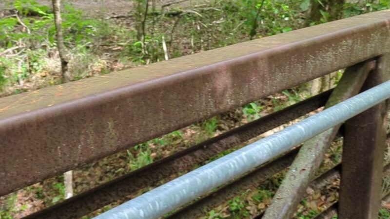 Sweetwater Preserve - Gainesville, FL