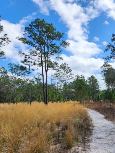 Sweetwater Preserve - Gainesville, FL