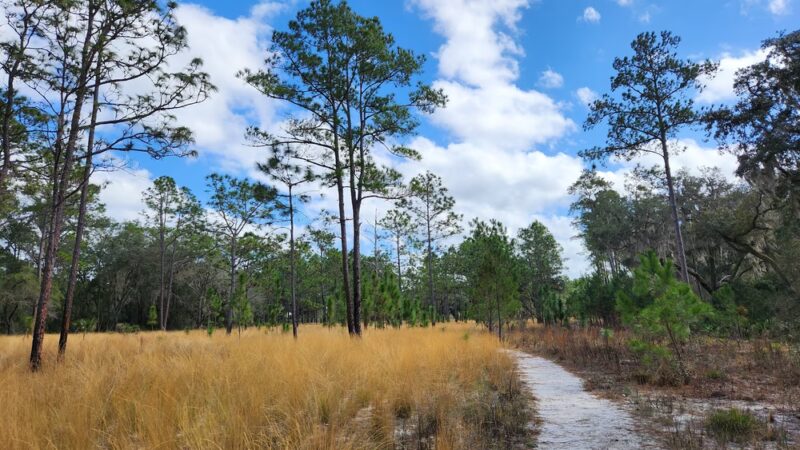 Sweetwater Preserve - Gainesville, FL