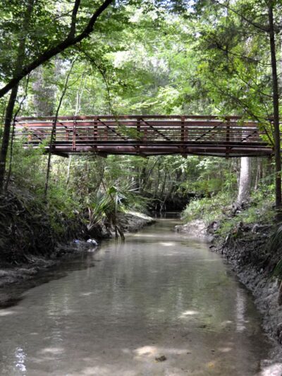 Sweetwater Preserve - Gainesville, FL
