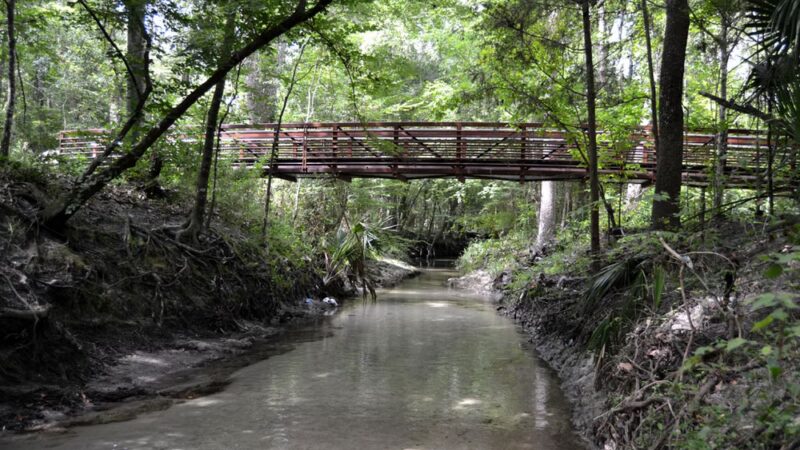Sweetwater Preserve - Gainesville, FL