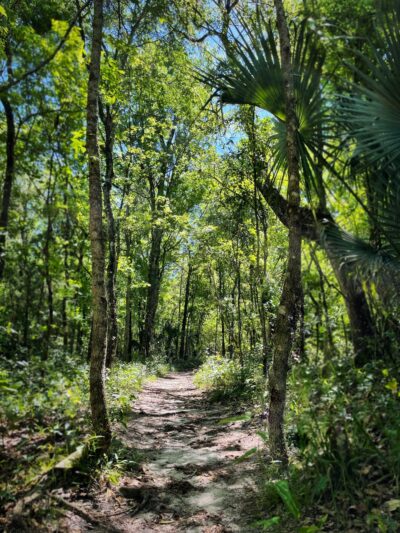 Sweetwater Preserve - Gainesville, FL