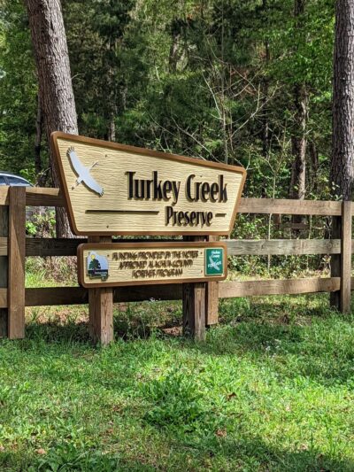Turkey Creek Preserve - Gainesville, FL