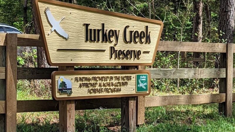 Turkey Creek Preserve - Gainesville, FL