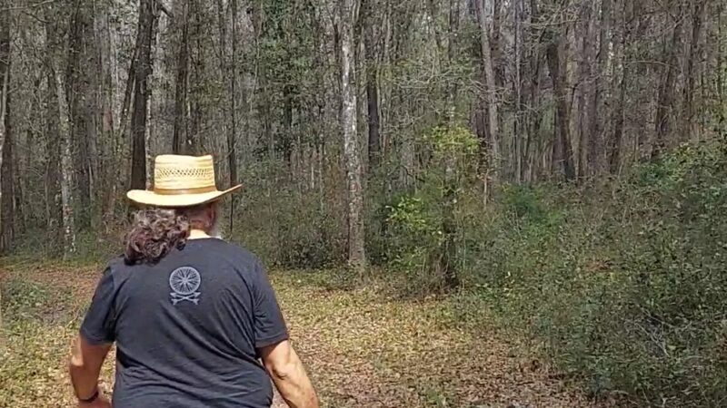 Turkey Creek Preserve - Gainesville, FL