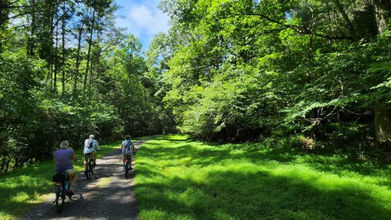 New River Trail State Park Access. Dannely Park (par course, playground) - Galax, VA