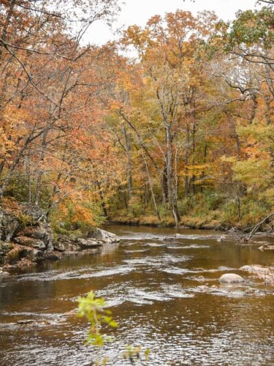 New River Trail State Park Cliff View Access - Galax, VA