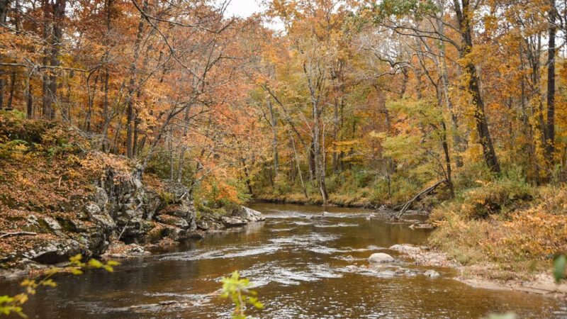 New River Trail State Park Cliff View Access - Galax, VA