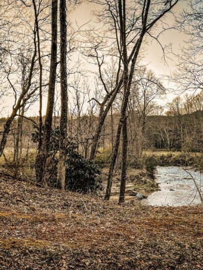 New River Trail State Park Cliff View Access - Galax, VA