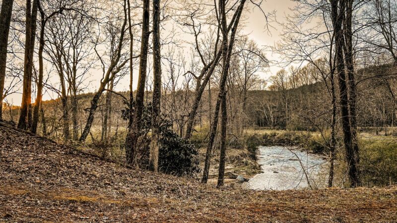 New River Trail State Park Cliff View Access - Galax, VA