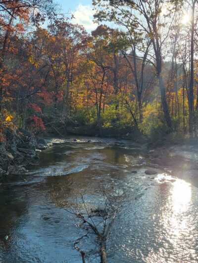 New River Trail State Park - Galax Access - Galax, VA