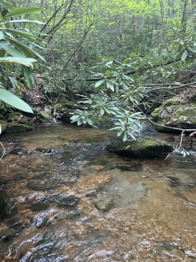 SR 612 Trailhead - Galax, VA