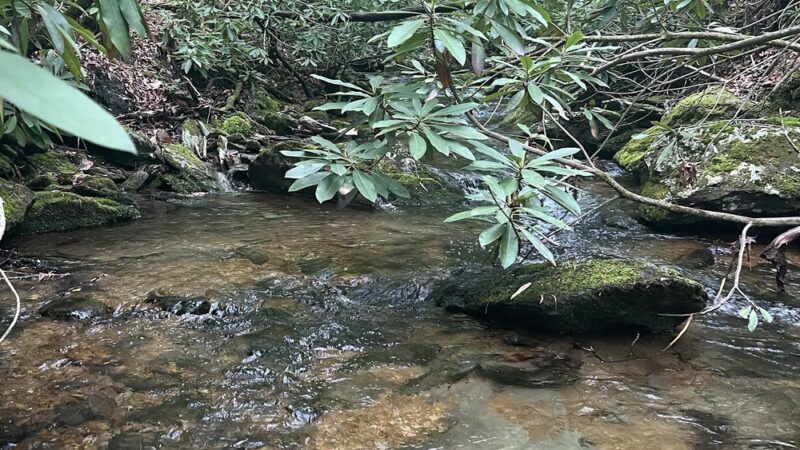 SR 612 Trailhead - Galax, VA